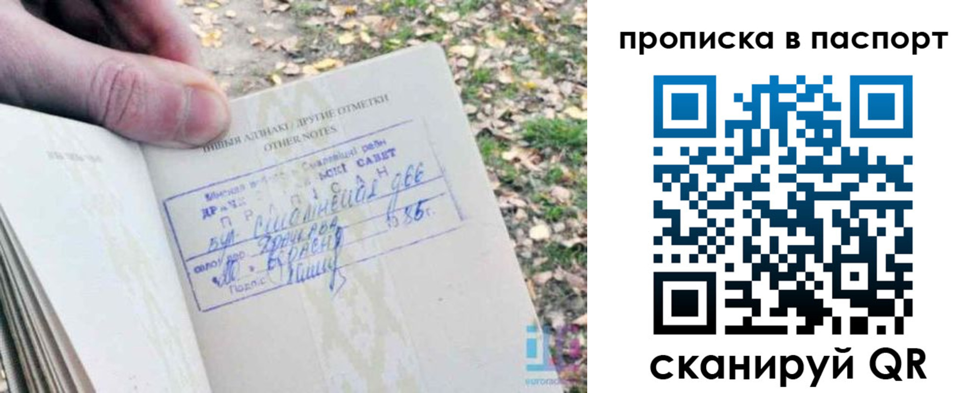 купить прописку в Медногорске